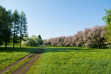 Similar image 817930