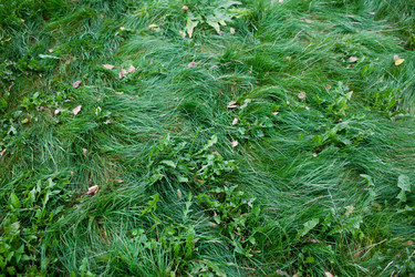 Similar image 817939