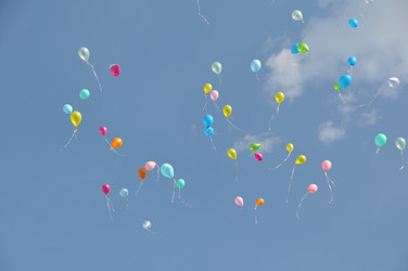 Similar image 817943