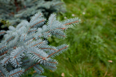 Similar image 817946