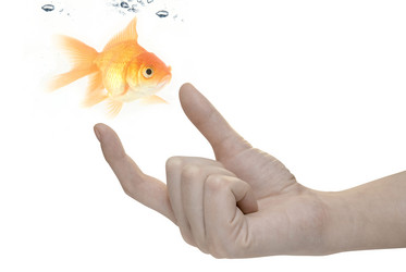 Similar image 817968