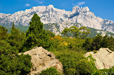 Similar image 818005