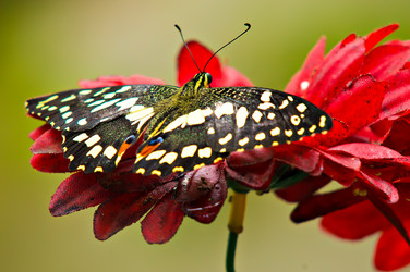 Similar image 818008