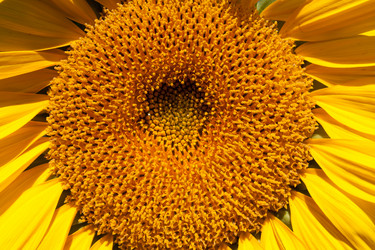 Similar image 818037