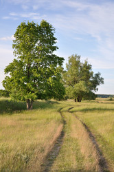 Similar image 818061