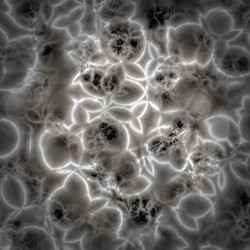 Similar image 818065