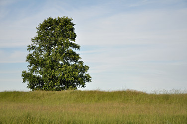 Similar image 818067