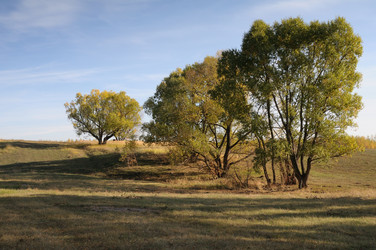 Similar image 818070