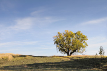 Similar image 818071