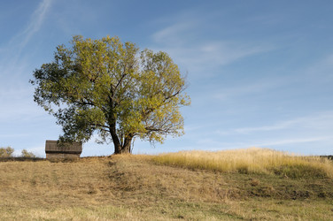 Similar image 818072