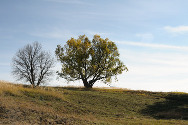 Similar image 818073