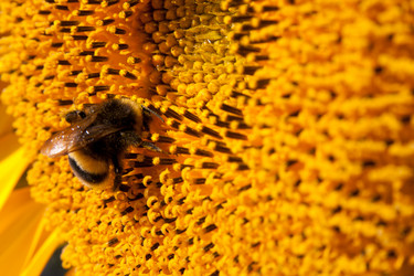 Similar image 818074