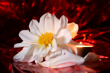 Similar image 818100