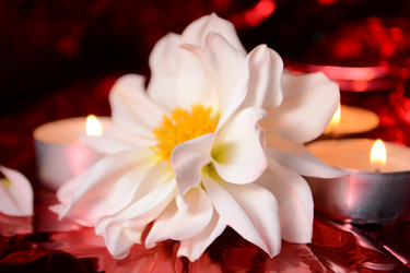 Similar image 818104