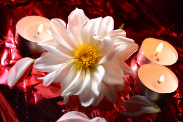 Similar image 818108