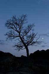 Similar image 818112