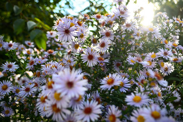 Similar image 818121