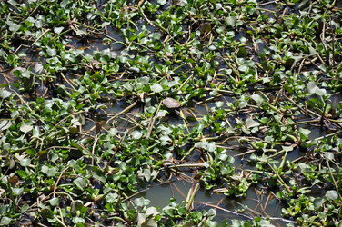 Similar image 818180