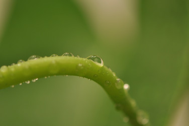 Similar image 818181