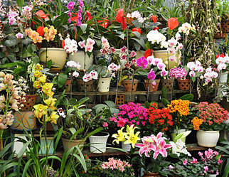 Similar image 818182