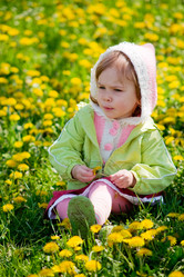 Similar image 818261