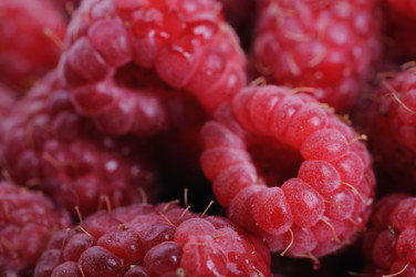 Similar image 818306