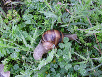 Similar image 818328