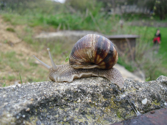 Similar image 818329