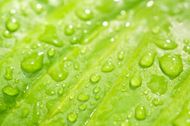 Similar image 818368