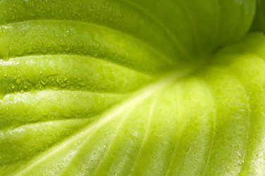 Similar image 818372