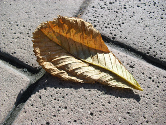 Similar image 818412