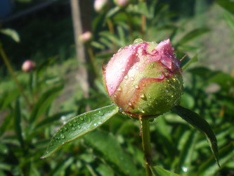 Similar image 818418