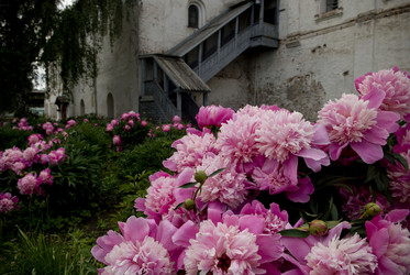 Similar image 818420