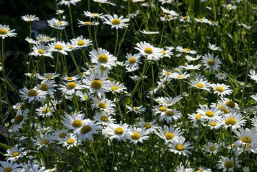 Similar image 818421