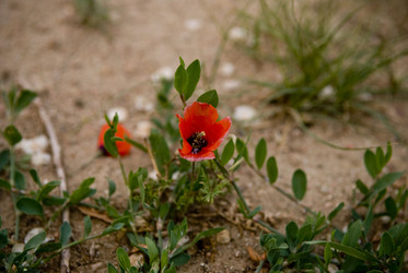 Similar image 818423