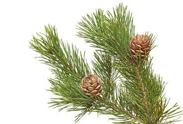 Similar image 818428