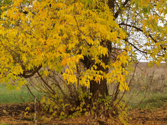 Similar image 818451