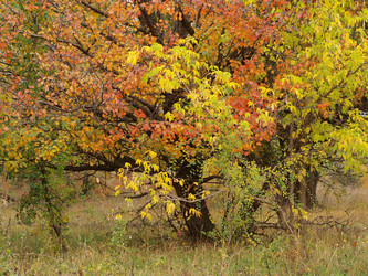 Similar image 818452