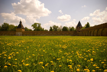 Similar image 818524