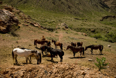 Similar image 818527