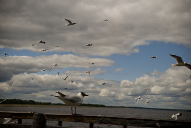 Similar image 818533