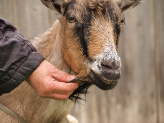 Similar image 818541