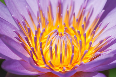 Similar image 818579