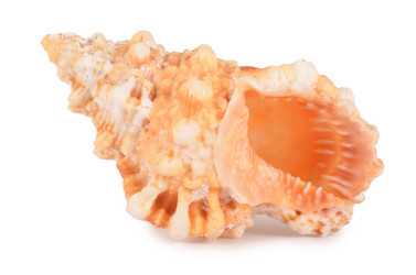 Similar image 818584