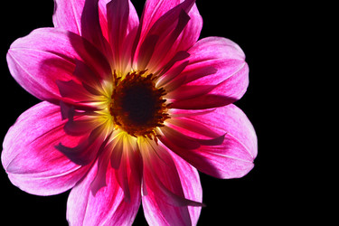 Similar image 818587