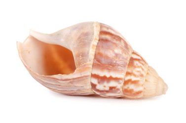 Similar image 818590