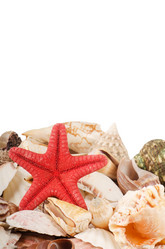 Similar image 818638