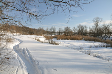 Similar image 818669