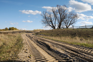 Similar image 818686