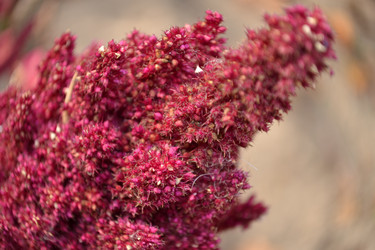 Similar image 818699